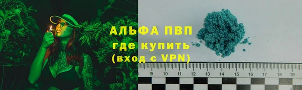 ПСИЛОЦИБИНОВЫЕ ГРИБЫ Волосово
