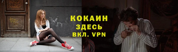ПСИЛОЦИБИНОВЫЕ ГРИБЫ Волосово