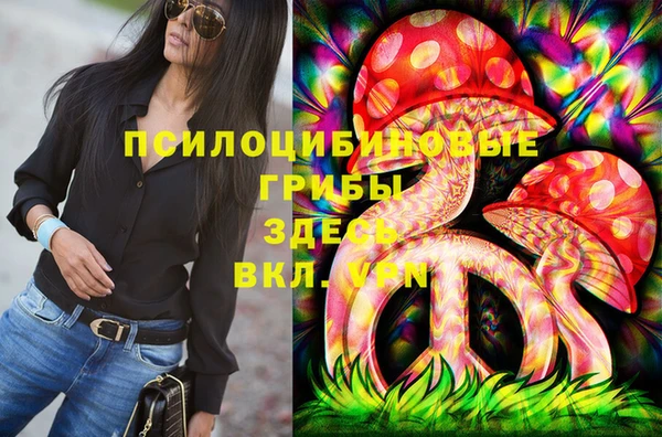 ПСИЛОЦИБИНОВЫЕ ГРИБЫ Волосово