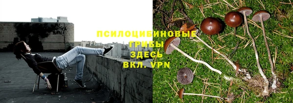 марихуана Волоколамск